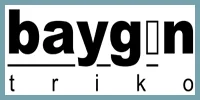 BAYGIN